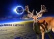 solar-express